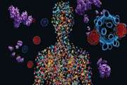 Transition to exhaustion: Clues for cancer immunotherapy